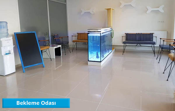 Aydın Vetpet Veteriner Kliniği Kapak