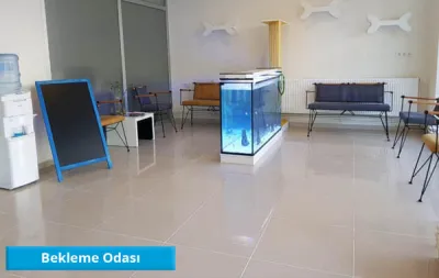 Aydın Vetpet Veteriner Kliniği Kapak