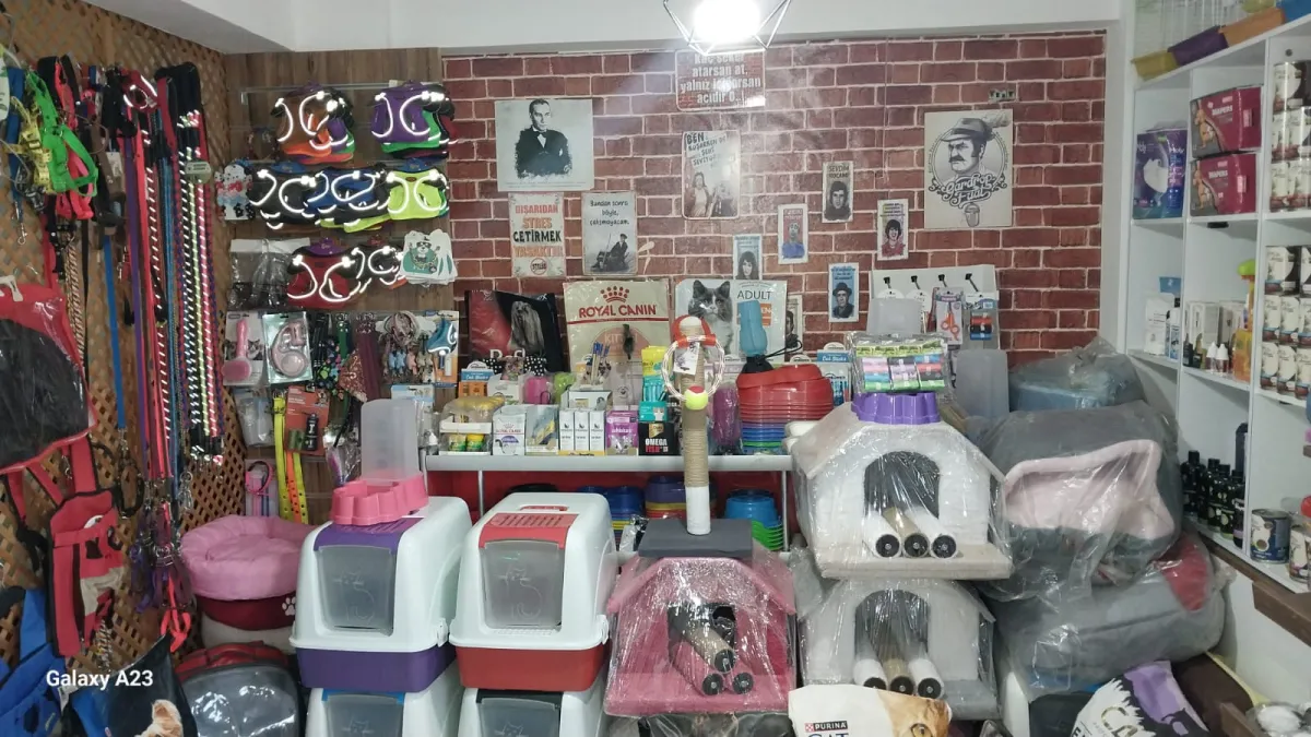 Yağmur Candostlarım Petshop Kapak